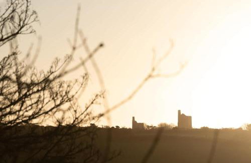 Traditional Cornish Cottage & Garden Redruth - Photo 18