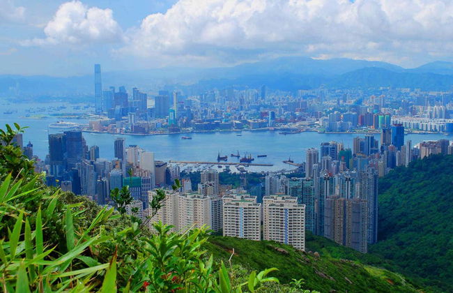 Ônibus turístico de Hong Kong - Foto 2