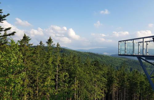 Chata Rafusa pod Śnieżnikiem - Foto 40