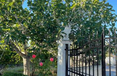 Beautiful nearby beach house with garden, private pool and large yard - Foto 8