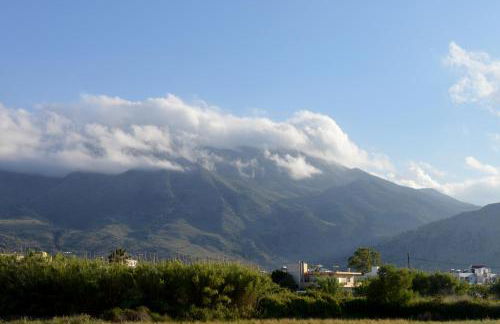 Reina Apartments - Photo 40