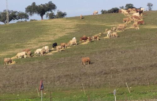 Casa rural El Candil - Foto 15