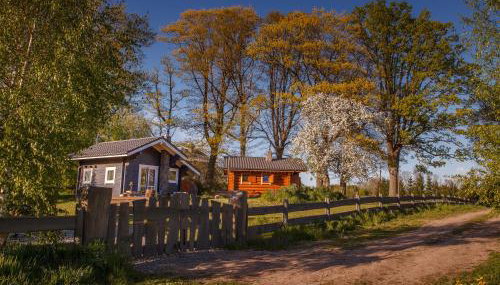 Saunowisko w Krągu - domy Niebieski i Żółty - Foto 2, Garden, Garden view