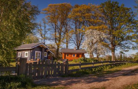 Saunowisko w Krągu - domy Niebieski i Żółty - Foto 1