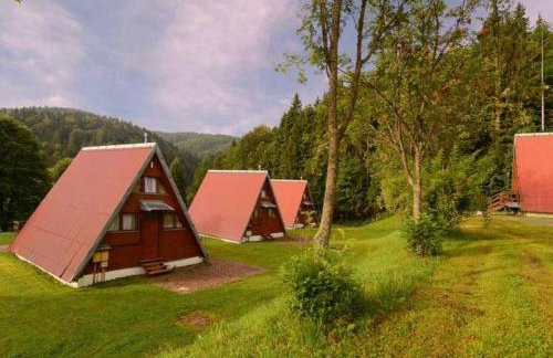 Perełka Bieszczady Domki - Photo 63