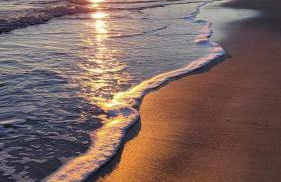 L'uliveto sui Trabocchi - Foto 32