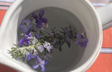 Maison atypique en pleine nature face au Luberon - Foto 20