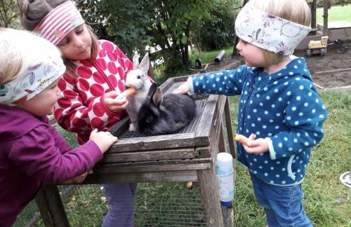 Veiter-Hof - Foto 11