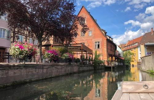 Coeur Alsace - Foto 23