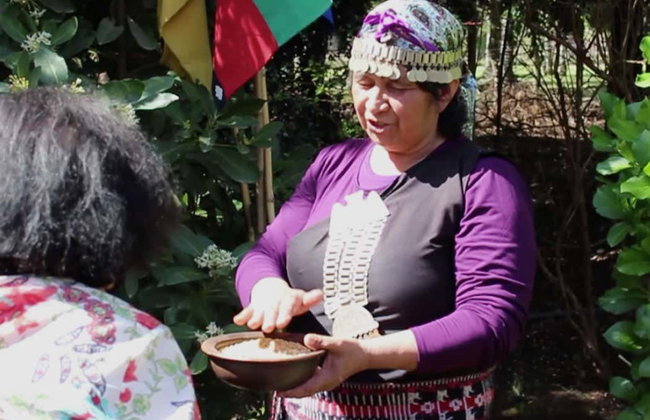 Mapuche Culture Tour - Photo 2