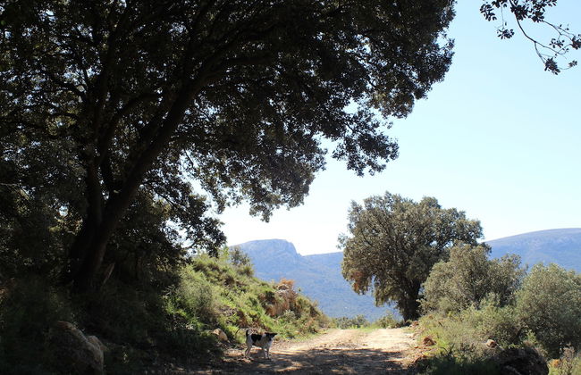 Aldea Ecorural - Foto 60