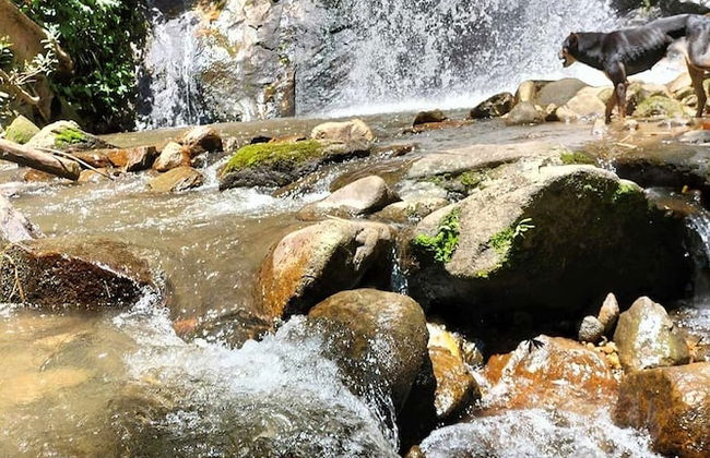 Doi Pumuen Lahu Homestay - Foto 35