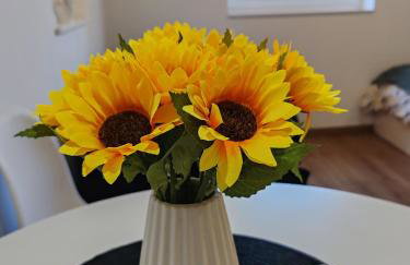 Šimun&Jakov - Foto 34