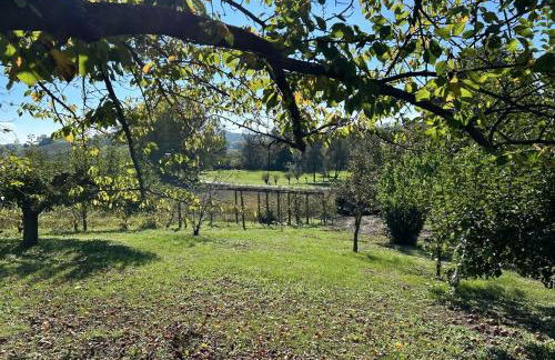 Casa Ambrogina - Foto 40