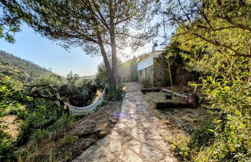 Vale dos Sentidos - Foto 1