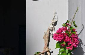 Νηρηίδες - Foto 17