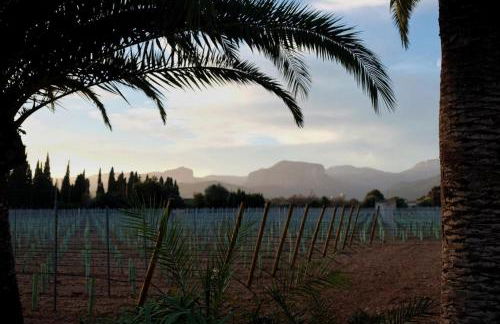 Finca La Preciosa - Photo 13