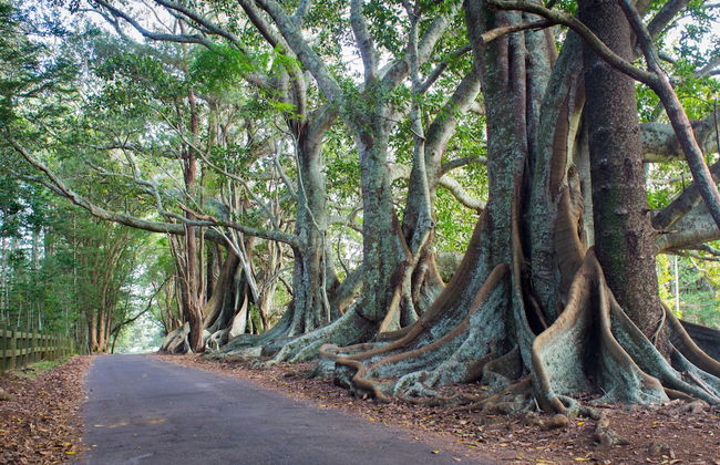 Channers on Norfolk - Foto 2