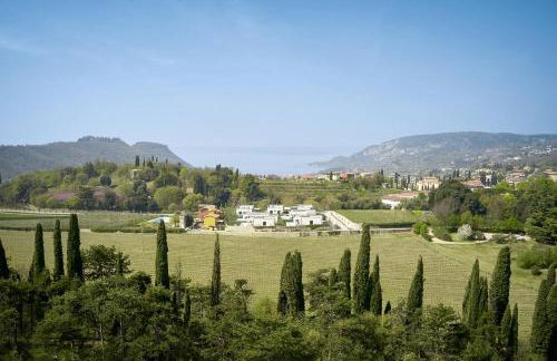 Ca'Verde Oliva - Foto 7