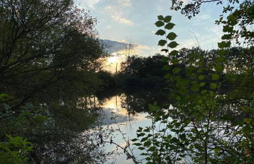 Gîte Le Bois Clairet - Foto 26