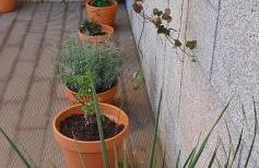 O terraço florido - Foto 13