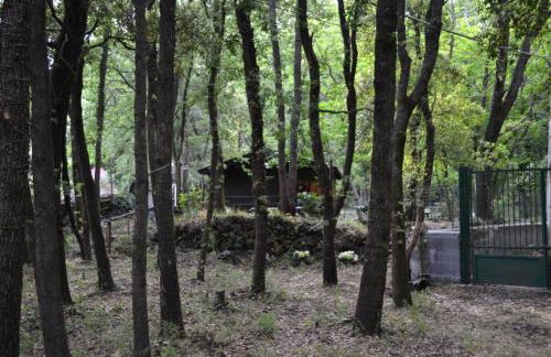 Intry Etna Chalet - Foto 32