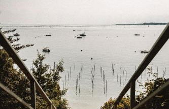 Flou de Pin - Foto 52