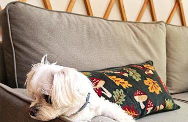 Osada JurtCamp w Witowie - Photo 64