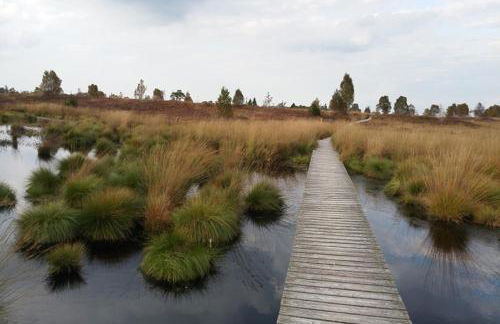 Weiher Lounge - Foto 19