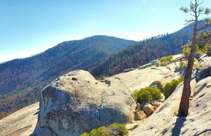 Sequoia Trails, mountains, fun & relax - Foto 49