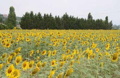 Appartamento Il Nespolo - Photo 20