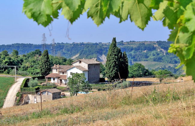 Trianon Country - Foto 49