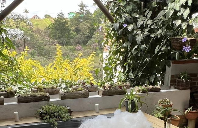 finca hotel zona 7 - Foto 49