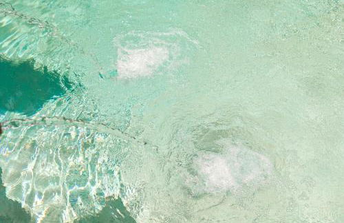 La Madone - Photo 58