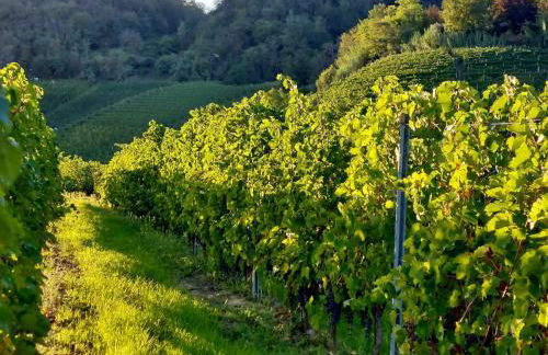 Casa Nonna Ada - Foto 68