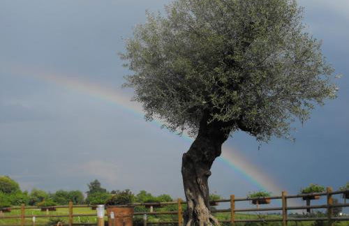 Agriturismo Althea - Foto 17