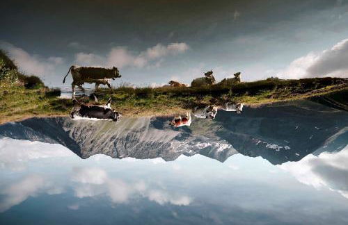 Christlrumerhof - Photo 20