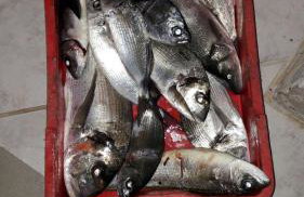 Apartments Marko Rava - Foto 8