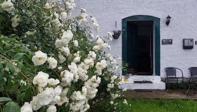 Der Konikhof, Natur, Ruhe, R-Auszeit - Foto 3