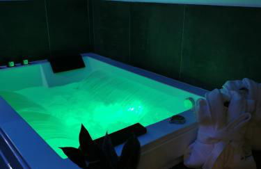 Les Sansonnets Appart & Spa - Foto 10