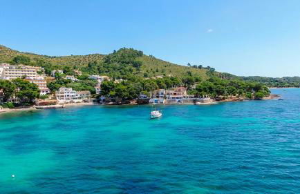 Far alcanada - Foto 26