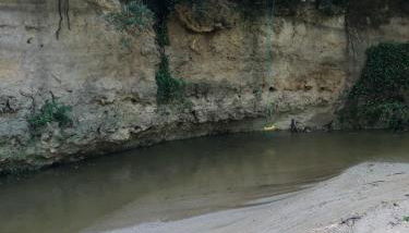 L'Olivier Fleurie Barjols - Foto 4