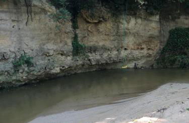 L'Olivier Fleurie Barjols - Foto 4