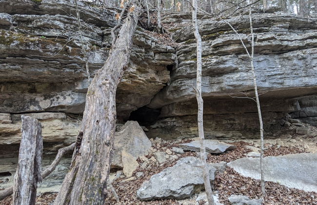 Loblolly Pines Adventure Camp - Foto 8