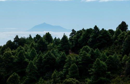 CASA ALBA, casa rural con piscina-spa climatizada hasta 34º gratuito y vistas al mar - Photo 26