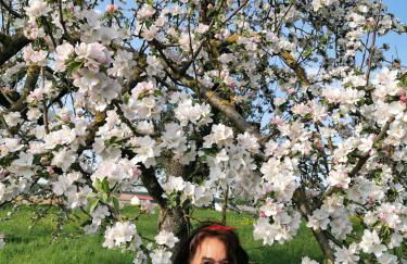 Ferienwohnung im Turm Bellevue mit 3 Schlafzimmern - Foto 7