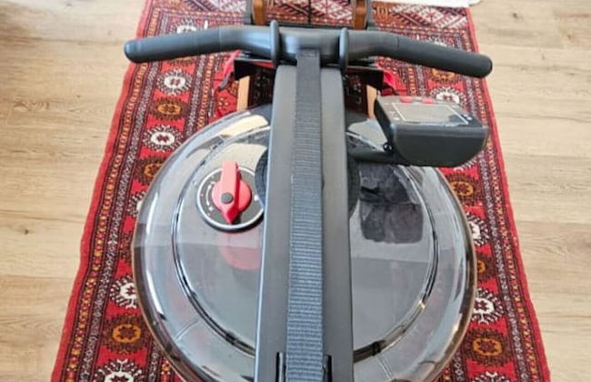 Red Orange Palm - Foto 60