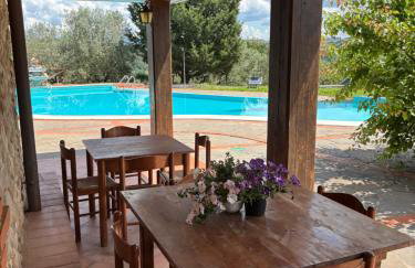 Agriturismo Manetti - Foto 58
