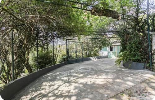 Lugar de Paz ao seu alcançe - Foto 14