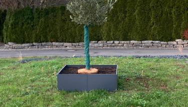 Hagens Cottage - Foto 3, Garden